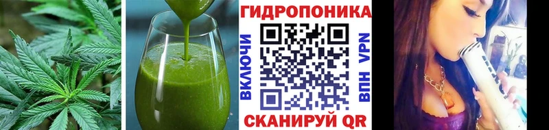 Canna-Cookies марихуана Пудож